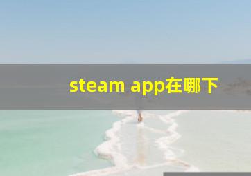 steam app在哪下